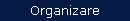 Organizare