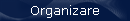 Organizare