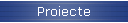 Proiecte